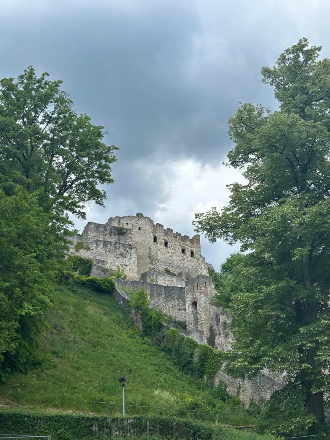 Ferienwohnung Zur Roni Treuchtlingen Luaran gambar
