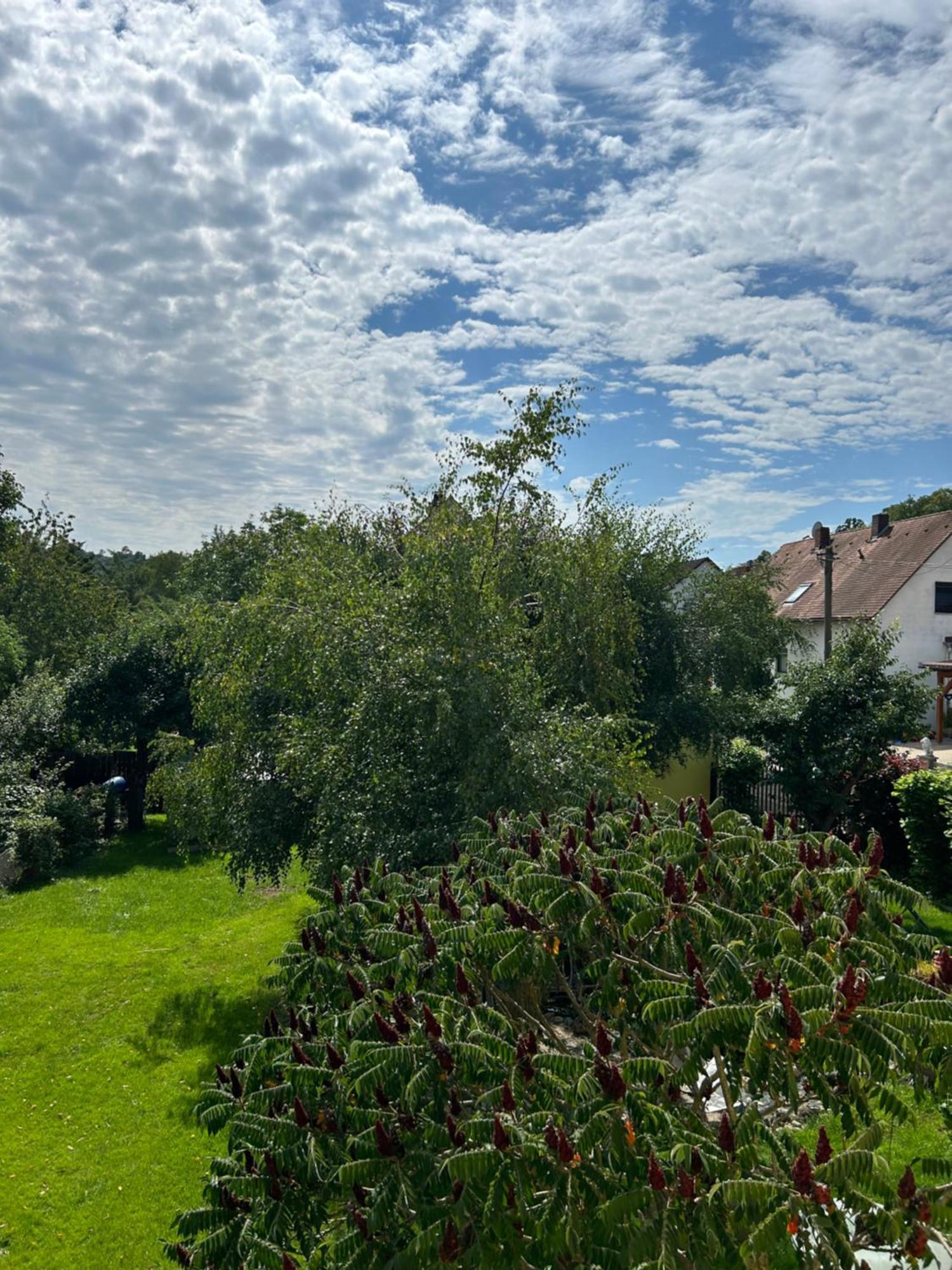 Ferienwohnung Zur Roni Treuchtlingen Luaran gambar